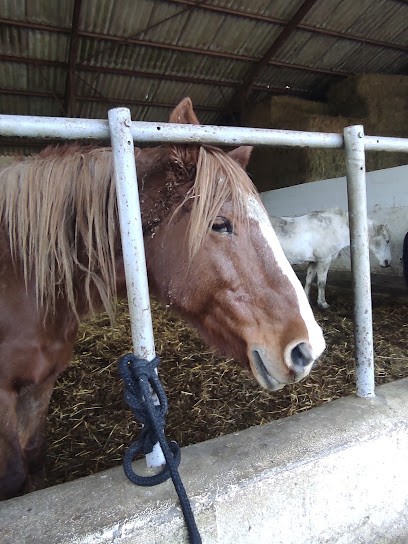 Pony Club Du Marais, Centre Equestres à Morestel