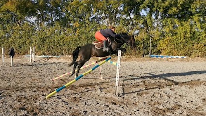 Écurie Caval D'allier, Pension pour Chevaux à Saint-Hilaire-la-Palud