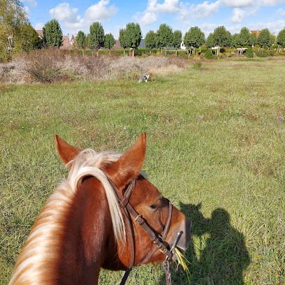 Delahaye Gérard, Centre Equestres à Huisseau-sur-Mauves