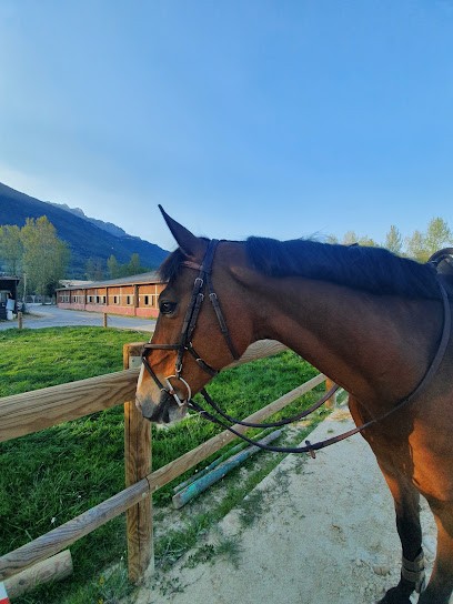 CENTRE EQUESTRE RICHARD SEBASTIEN, Centre Equestres à La Terrasse