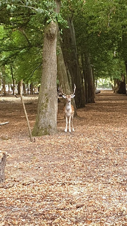 Les Ecuries De Romandine, Centre Equestres à Guérard