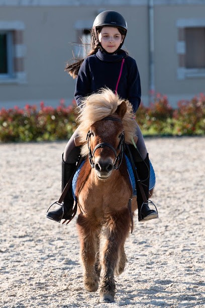 Stud Du Val De Loire - Pony Club Orléans, Centre Equestres à Saint-Denis-en-Val