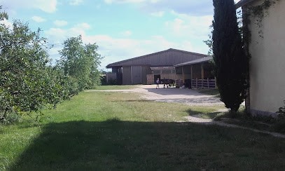 Equestrian Farm Du Buisson, Centre Equestres à Villefargeau