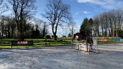 L'etrier Vannetais, Centre Equestres à Monterblanc