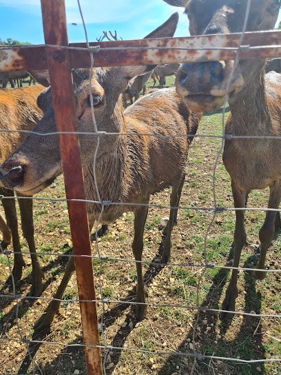 Centre Equestre Eaux Claires, Centre Equestres à Voeuil-et-Giget