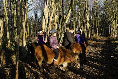 Centre Equestre de Prunevaux, Centre Equestres à Nolay