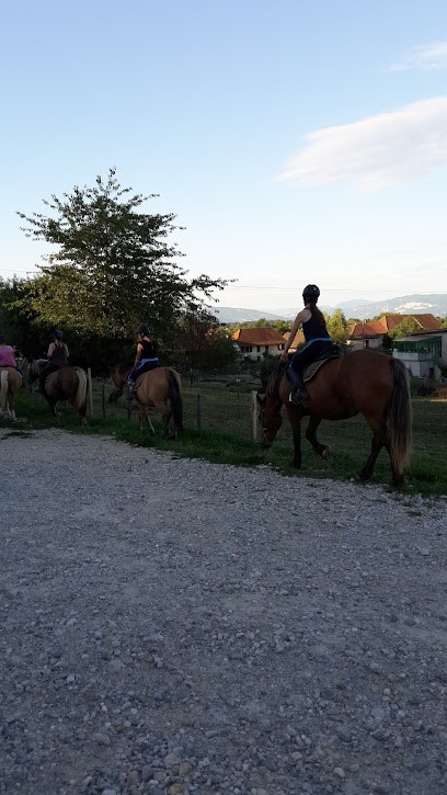 LES ÉCURIES DU VÉREL, Centre Equestres à Saint-André-le-Gaz