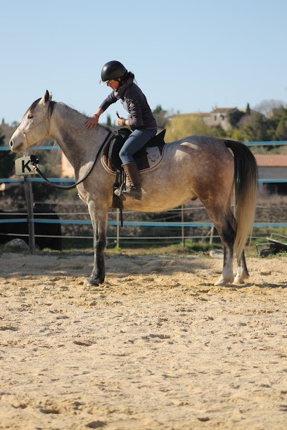 Héléna And-Horses, Centre Equestres à Marsillargues