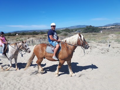 Ranch Desperado, Centre Equestres à Leucate
