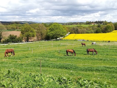 Écurie Pascal COLLIAS, Pension pour Chevaux à Languidic