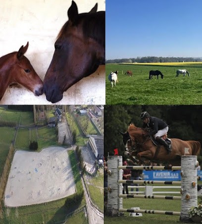 Haras De La Fontaine, Pension pour Chevaux à Vaugrigneuse
