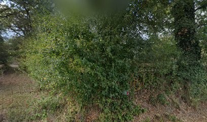 Ecurie Eric Lagarrigue, Centre Equestres à Villefranche-de-Rouergue