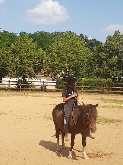 Cercle Hippique Des Brières, Centre Equestres à Lombron