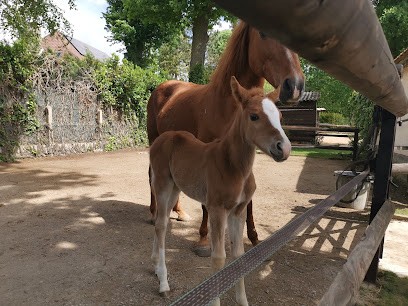 Pony Club De Sucy, Centre Equestres à Sucy-en-Brie
