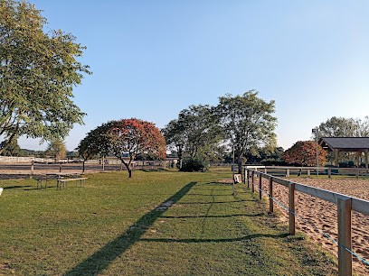 Les Ecuries De La Maison Neuve, Pension pour Chevaux à Tiercé