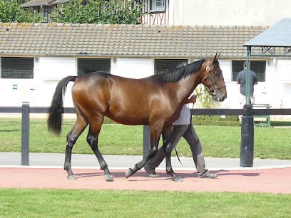 Haras des rioults, Centre Equestres à Saint-Martin-de-Mailloc