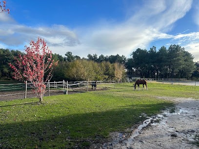 Ecuries du Grand Vignoble, Centre Equestres à Beauregard-et-Bassac