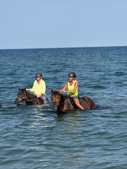 Ranch Paganacciu Balade à Cheval - Baignade à Cheval Mer Et Rivière, Centre Equestres à Penta-di-Casinca