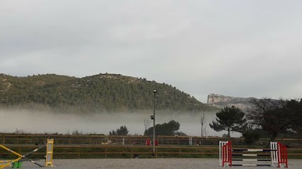 Stables Du Lion D'or, Centre Equestres à Cuges-les-Pins