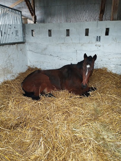 Écurie Du Bannot, Centre Equestres à Hirtzbach