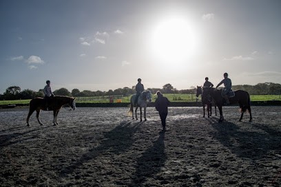 Écurie Du Domaine, Pension pour Chevaux à Saint-Briac-sur-Mer