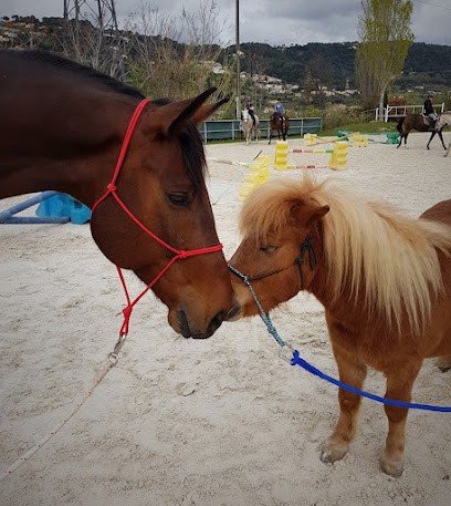Equestrian Center Agasc - Saint Laurent Du Var, Centre Equestres à Saint-Laurent-du-Var