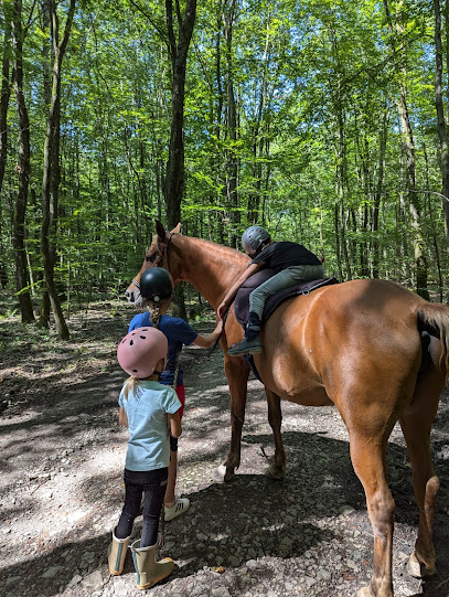 Ecurie Au Cheval Bleu - Samira Sadat Pferdegestützte Therapie, Centre Équestre à Alsting