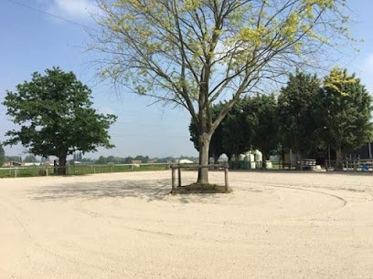 La Ferme Des Muchots, Pension pour Chevaux à Verlinghem