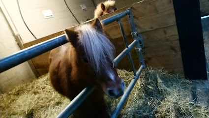 EQUIVALOR, Centre Equestres à Hirson