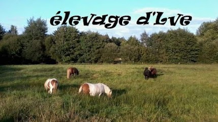 La Villatte Equitation, Centre Equestres à Roches