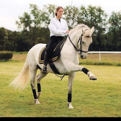 Les Ecuries De Keregal, Pension Pour Chevaux à Plouha