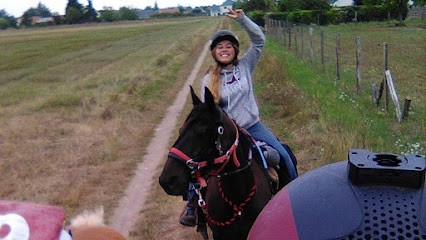 Les Poneys de Julie, Centre Equestres à Thouars
