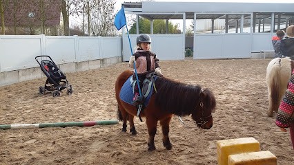PONEY CLUB DES ECUREUILS, Centre Equestres à Niederroedern