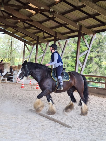 LE BOIS D AMBRE, Centre Equestres à Ferrières-les-Bois