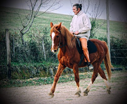 L'equido, Centre Equestres à Viviès