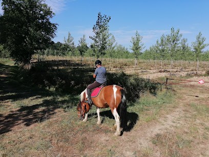 Les Écuries De Lapeyre, Centre Equestres à Perchède
