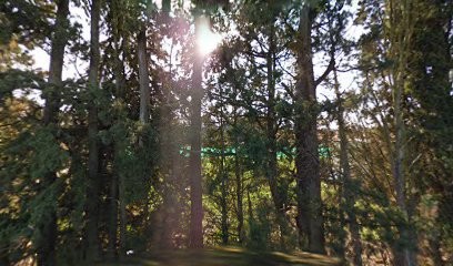 In The Process, Centre Equestres à Mallemort