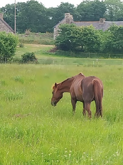 Ecurie d'elpis, Pension pour Chevaux à Saint-Fiacre