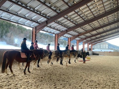 ECURIES DE SEYNE TEAM DES COLOMBETS, Centre Equestres à Seyne