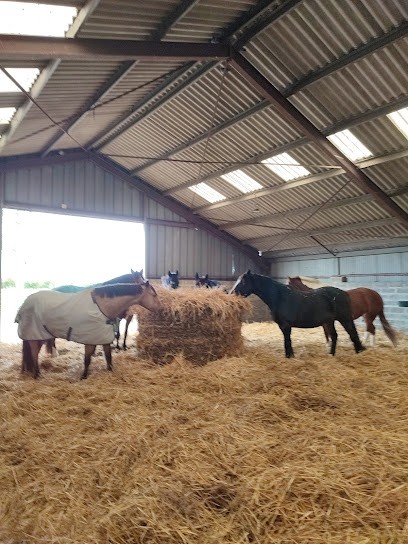 L'Ecrin De Liberté Ecurie Active, Pension pour Chevaux à Hornaing