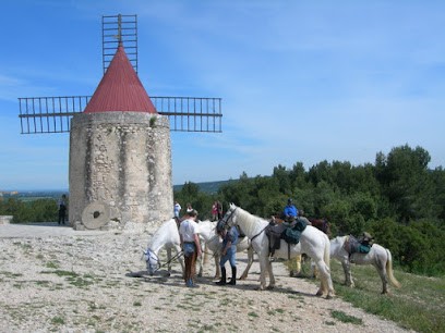 Les Enganes, Centre Equestres à Fontvieille