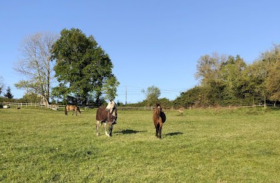 Écurie de morin - pension pré en troupeau, Pension pour Chevaux à Capian