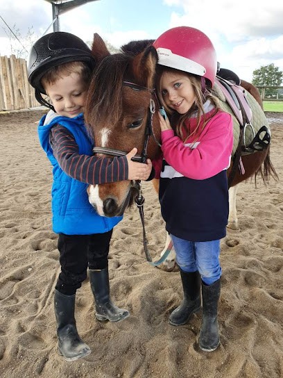 Les Ecuries Du Souverain, Centre Equestres à Faverolles-en-Berry