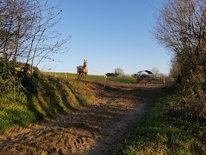 Écurie De La Péralière, Pension pour Chevaux à Antigny