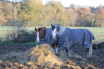 Les Ecuries Du Tissié, Centre Equestres à Montlaur