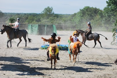 Stud Sainte Colombe, Centre Equestres à Sainte-Colombe