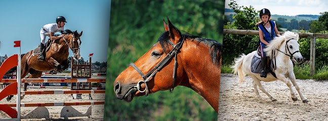 Centre équestre de l'Aunil, Centre Equestres à Nanteuil-la-Forêt