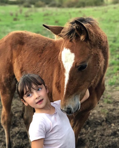 LE CLOS DES GROGES, Centre Equestres à Saint-Benoît