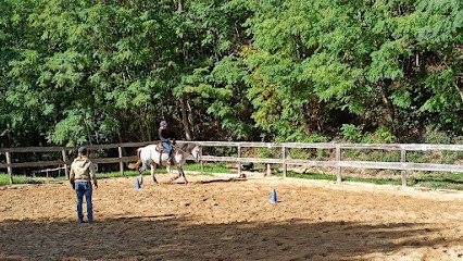 Ranch Des Torrières, Centre Equestres à Neuville-sur-Saône