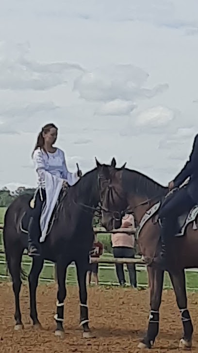 Ecurie Sopirane, Pension pour Chevaux à Vigneux-Hocquet
